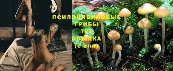 прущий лед Алексеевка