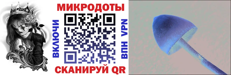 Псилоцибиновые грибы Cubensis  купить наркотики цена  Аркадак 